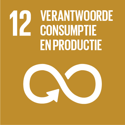 SDG 12